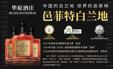 遼寧華原酒莊 傳承文化釀造中國味道，創新驅動銷售發展